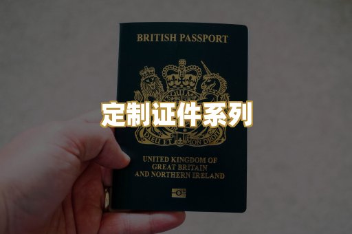 定制证件系列